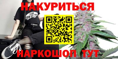 амф Кандалакша